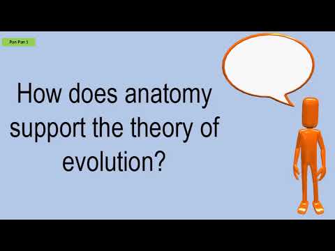 How Does Anatomy Support The Theory Of Evolution?