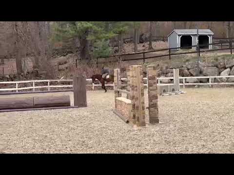 CMS Clear Ice video 4
