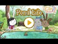 Elinor Wonders Why Pond Life | PBS Kids
