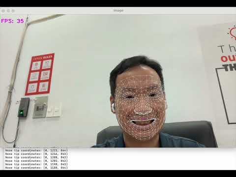 Real-time face mesh detection demonstration