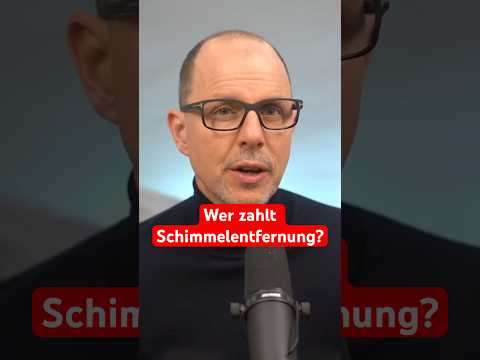 Wer muss die Schimmelbeseitigung entfernen: Mieter oder Vermieter? 🧐 | WBS.LEGAL #shorts