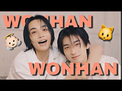 JEONGHAN & WONWOO and their ✨goofy✨ dynamic (svt moments) // yeontannie yt