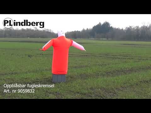 Oppblåsbar fugleskremsel 