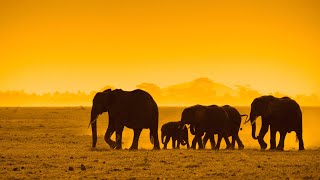 Mozambique Safari : Top 10 Amazing Best African Safari Countries  : Mozambique (Part 1 of 10 Part )