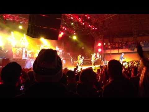 welcome to th jungle