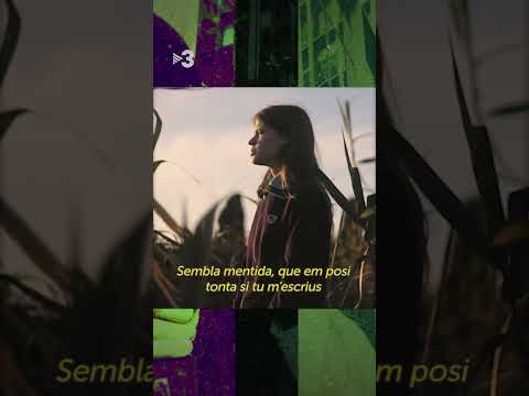 La @BadGyal parla de la @mushkaa5785. Hora d’una col·labo? #APMTV3 #català #shorts #BadGyal #Mushkaa