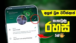 5 Amazing Whatsapp Update 2022 | Hidden Secret Whatsapp Tips & Tricks Sinhala | Tech S Geek