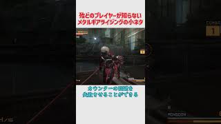 殆どの人が知らないってことに勝手にしたメタルギアライジングの小ネタ