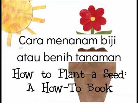 PLAN A SEEDS SCIENCE CAMBRIDGE GRADE 1