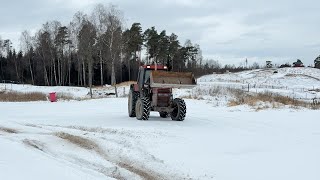 Tracteur &agrave; roues Case IH 844 AXL | Image 4 - Agroline