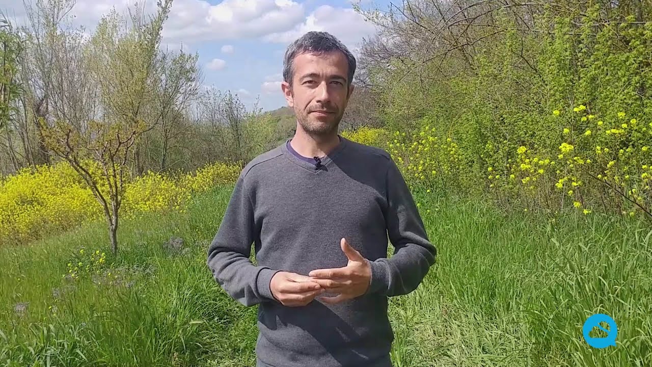 youtube video id=HkKKQX33SCc