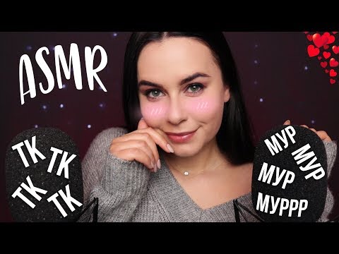 АСМР | Твои ЛЮБИМЫЕ звуки 😍 ТК ТК СК СК Мур Мур 🐱 Для расслабления ASMR | Sounds for sleep 😍