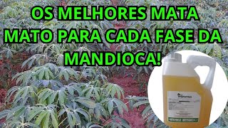 OS MELHORES MATA MATO(HERBICIDAS) PARA CADA FASE DA MANDIOCA!