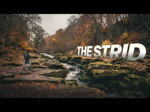The MOST DANGEROUS RIVER on Earth - We found The Strid, Yorkshire UK