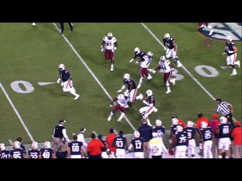 2014 Auburn vs. South Carolina Highlights