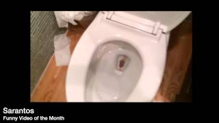 Turd in toilet Phone falls in 2-14 Sarantos Funny video of the month