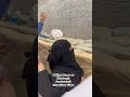 Allah Hamari Shaytan Se Hifazat Kare Sanakhan Anassaiyad Hajj