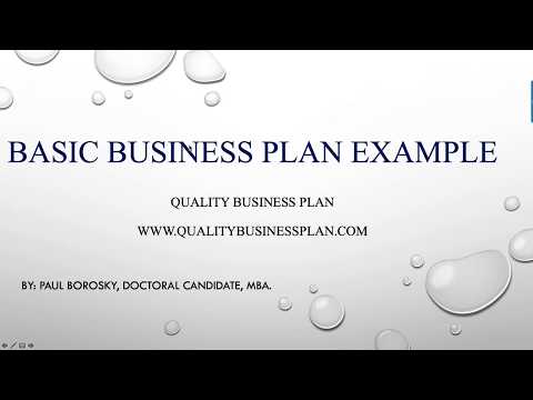 , title : 'Basic Business Plan Example by Paul Borosky, MBA.'