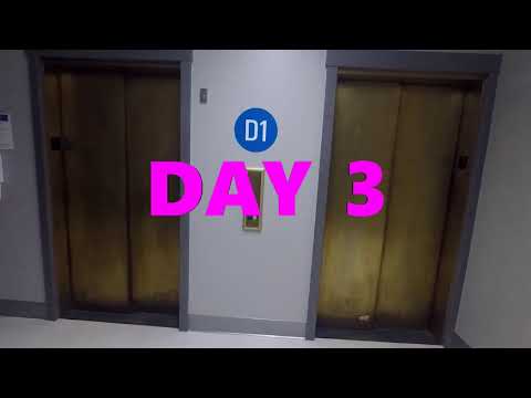 Messed Up Bank of Vintage Haughton Elevators @ Buffalo General Hospital in Buffalo, NY