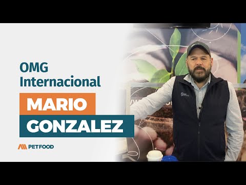 Omg Internacional - Mario Gonzalez
