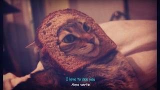 Frankie Cosmos - Fool Lyrics [Sub Español]