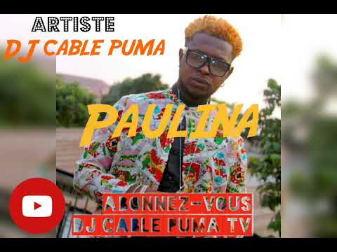 DJ Cable Puma - Paulina