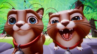 เพลงแมว เหมียว เหมียว เพลงเด็ก 2567 By KidsMeSong