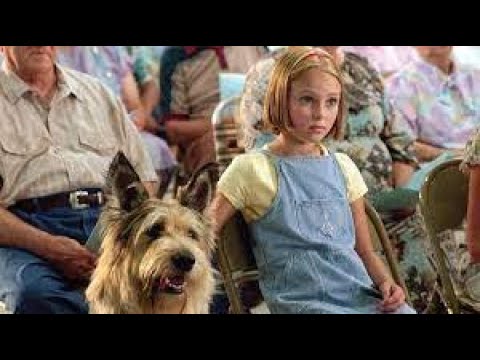 Because of Winn-Dixie Full Movie Facts & Review /  Jeff Daniels / Cicely Tyson