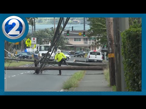 [종합] 💨 강풍으로 인한 정전 피해