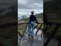 Kebun Teh Taiwan Taiwan Travel Formosa Dailyflog