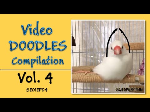 Funny Video Doodles Compilation S01E04