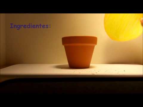 Receta contra el hambre