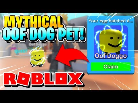 ROBLOX MINING SIMULATOR CODE: HOW TO GET MYTHICAL OOF DOGGO! PET!