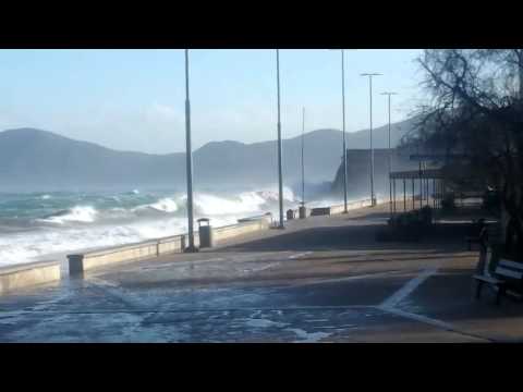 La spiaggia delle Ghiaie - video di Serena Nastri