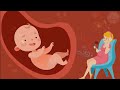 🎵🎵🎵 Pregnancy music for unborn baby ♥ Brain development ♥ Baby kick in the womb 🎵🎵🎵