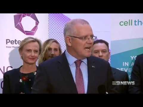 Peter Mac Centre of Excellence in Cellular Immunotherapy announcement