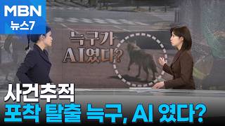 [사건추적] 탈출한 '늑구' 사진, AI였다?! / 유튜브 사과보다 '유족 사죄' [MBN 뉴스7]