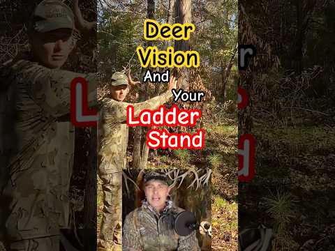Best camo in a ladder stand? #camoseries #deervision #hunting #camo
