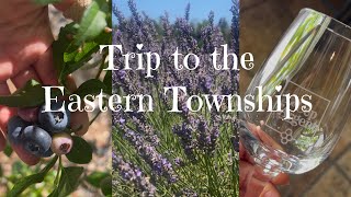 【モントリオール生活】 バスツアー/ ワイナリー/ ラベンダー畑/ ブルーベリーピッキング/ ハイキング