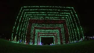 Dance of The Reed Flutes