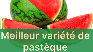 Culture de pastèque : voici comment choisir la variété de pastèque