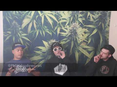 Bacio Bx Strain