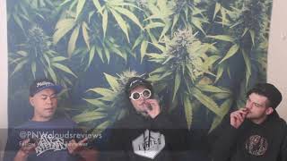 Strain Tasters Cannabis Reviews - Bacio