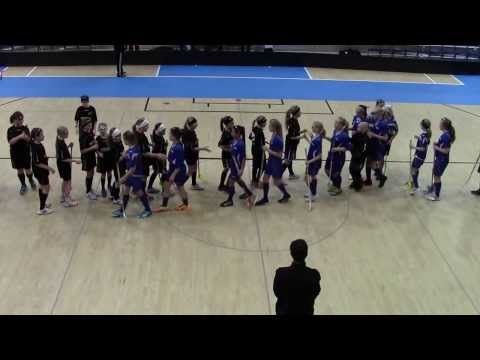 Maalikooste SB Vantaa Säihke vs M-Team D-tytöt 13.11.2013