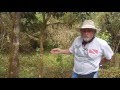Plant Life Of The Galapagos Islands Ecuador