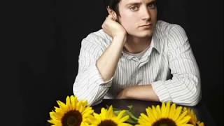 Elijah Wood (Tout les moulins de mon coeur)