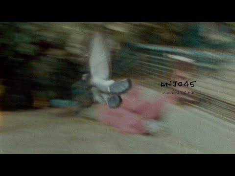 Fleezus - ANJO45 (Official Visualizer)