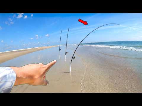 I Finally Caught Florida’s Most EXPENSIVE Fish! (Catch and Cook)