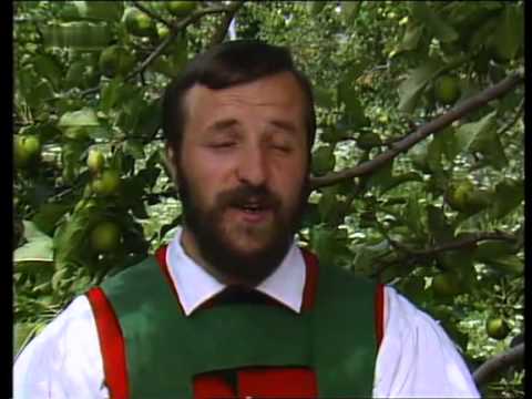 Malser Männerviergesang