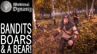 Bandits, Boars And A Bear! | Medieval Dynasty Gameplay | EP 177